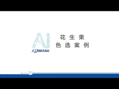 Sortitore di colori di arachidi professionale Peeling Arachidi Color Sorting Machine