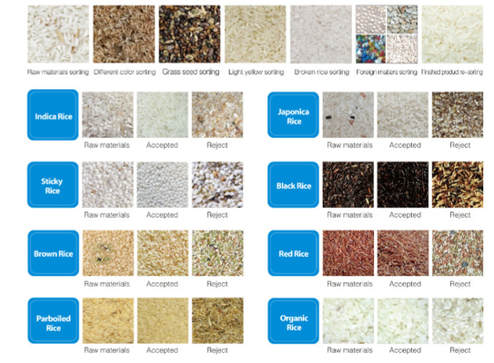 Dreamplus Rice Color Sorting High Accuracy 99,99% Sorting Machine