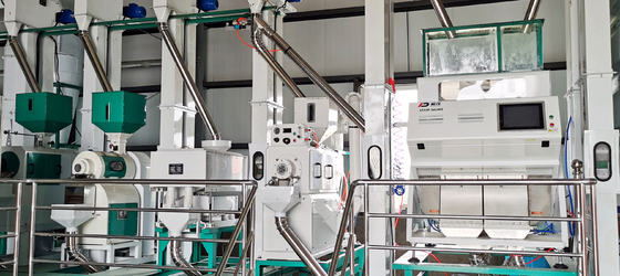Dreamplus Rice Color Sorting High Accuracy 99,99% Sorting Machine