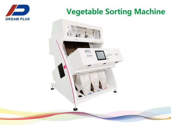 Il selezionatore automatico di verdure di colore del vaglio del fungo facile funziona