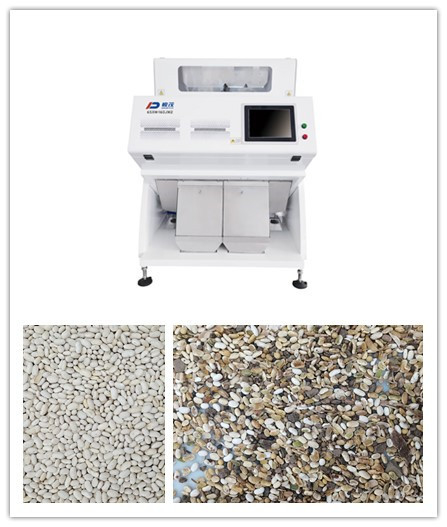 RGB CCD Agricoltura Fagioli Bianchi Color Sorter Machine 2 Scivoli