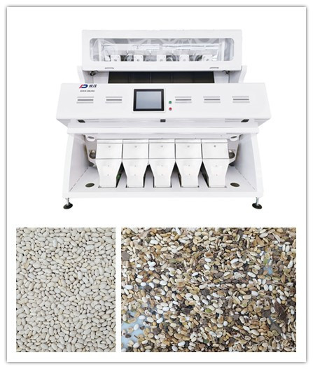 CCD RGB Bean Grain Sorter bianco ottico 5 scivoli 320 canali